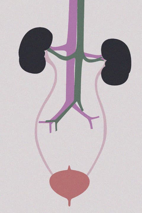 Urology